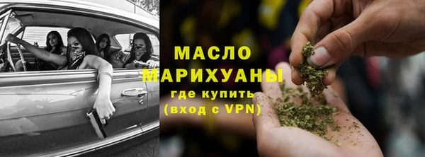 гашик Пересвет