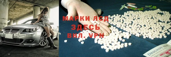 гашик Пересвет