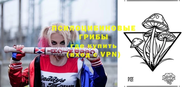 герыч Пестово