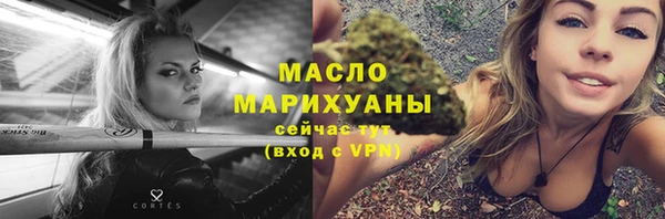 гашик Пересвет