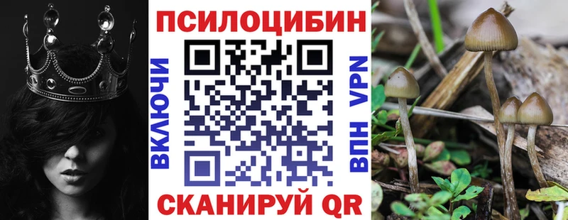 Псилоцибиновые грибы Psilocybine cubensis  Алушта 